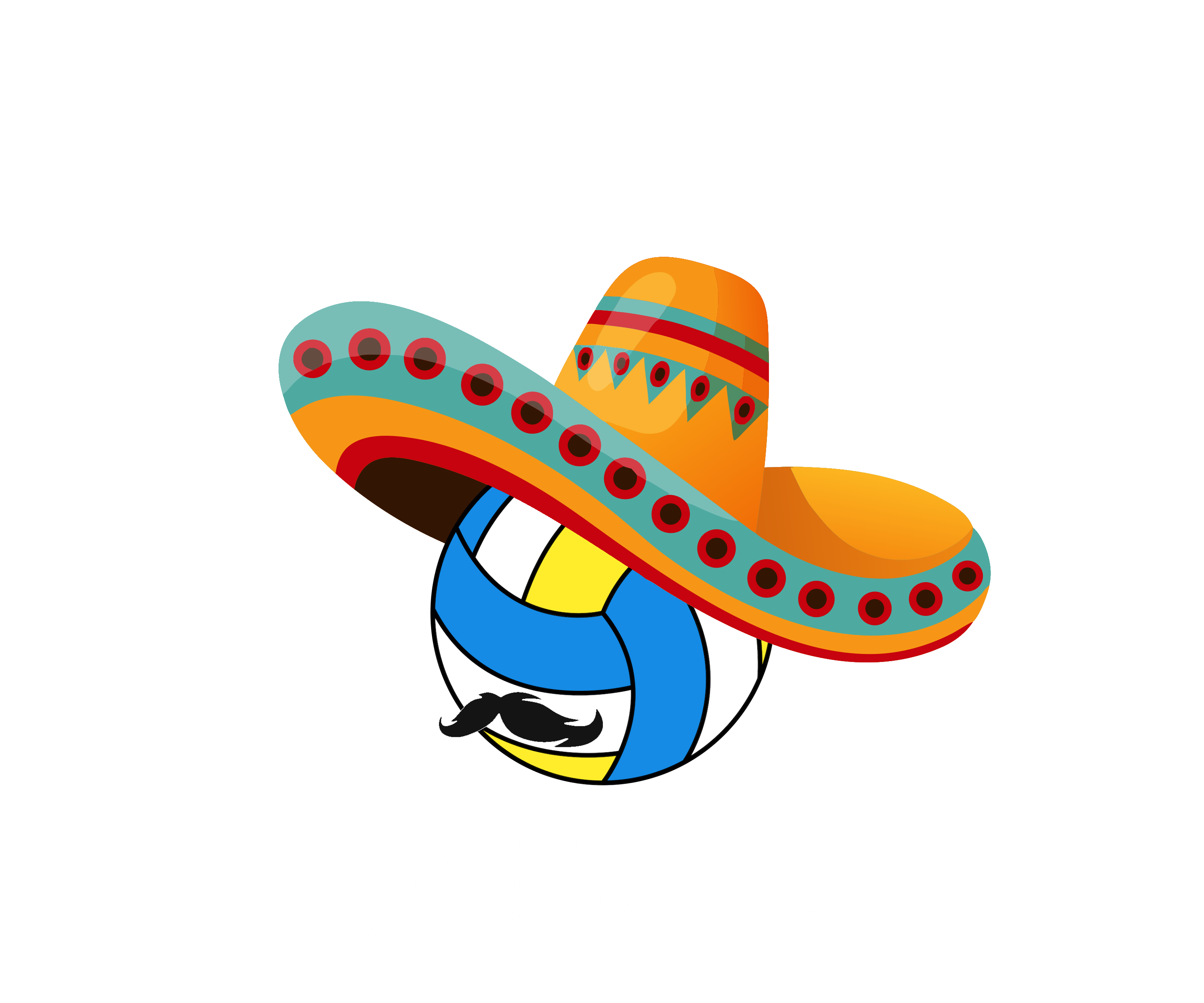 Volleyballnacht Logo